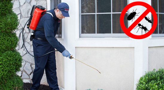 Çavdır Karınca İlaçlama böcek ilaçlama ve haşere kontrolü — ilaclama-tr.com